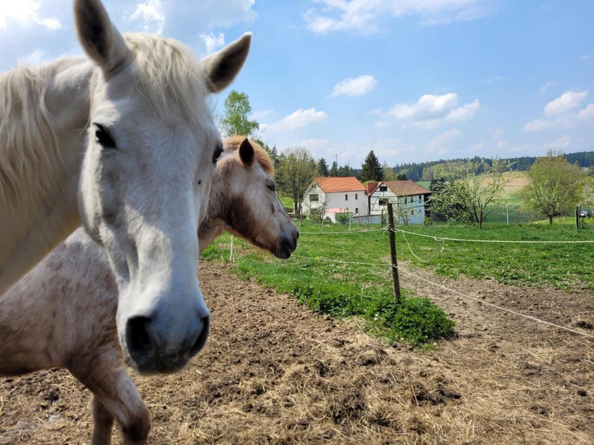 Ruhig Gelegene, Top Moderne Ferienwohnung - Hot Tub Und Sauna Gegen Aufpreis Neuhaus an Der Eger Esterno foto