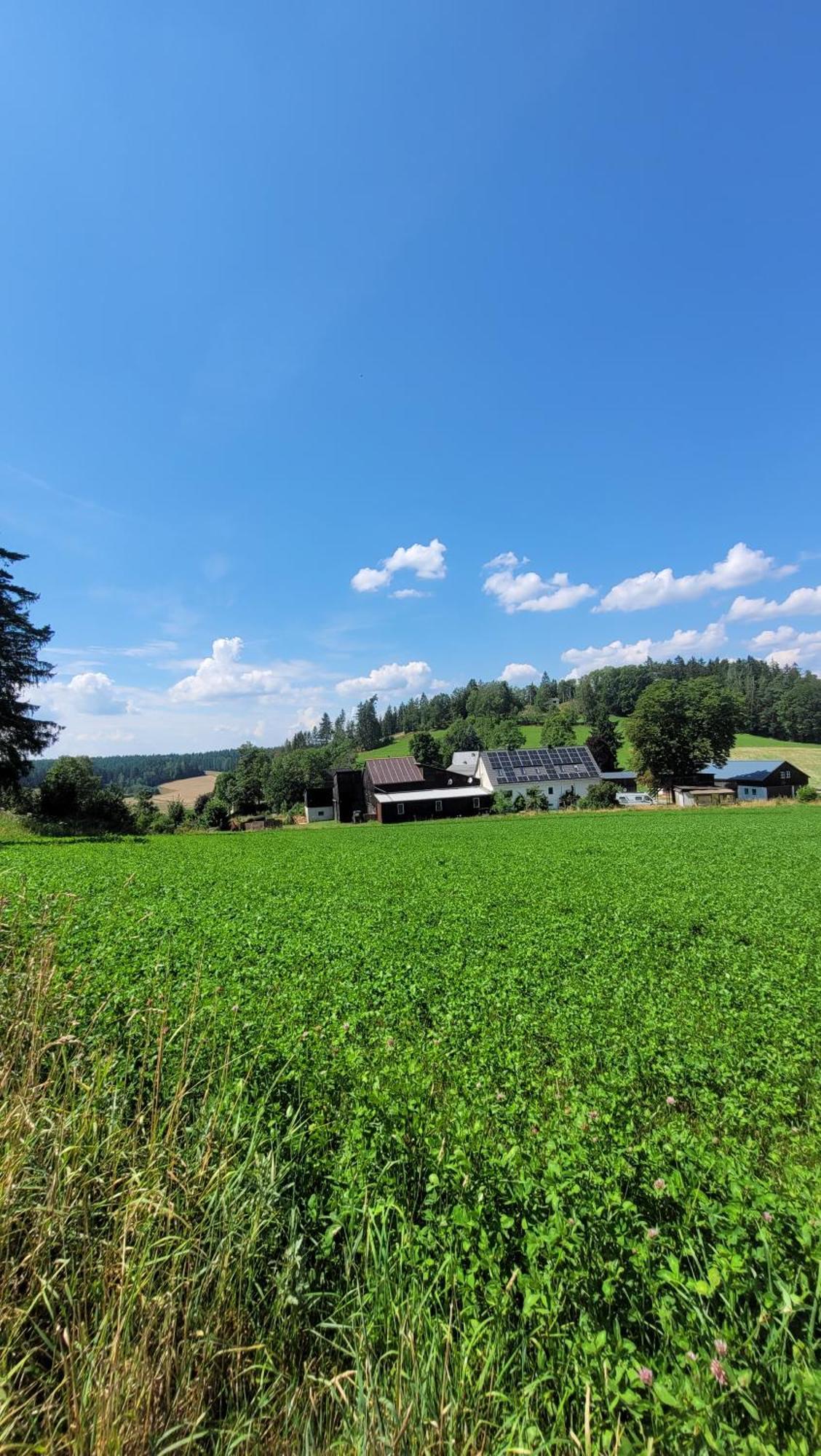 Ruhig Gelegene, Top Moderne Ferienwohnung - Hot Tub Und Sauna Gegen Aufpreis Neuhaus an Der Eger Esterno foto