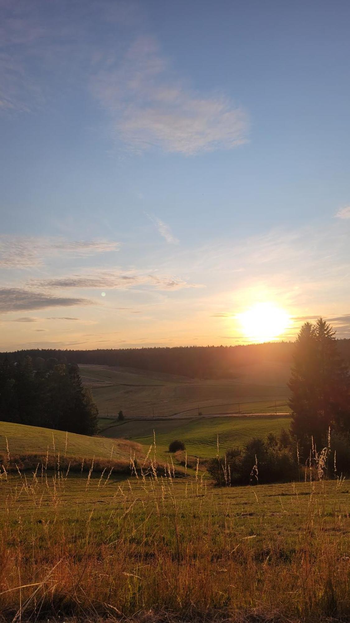 Ruhig Gelegene, Top Moderne Ferienwohnung - Hot Tub Und Sauna Gegen Aufpreis Neuhaus an Der Eger Esterno foto
